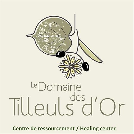 Saint-Cézaire-sur-Siagne Domaine Des Tilleuls D'Or מראה חיצוני תמונה