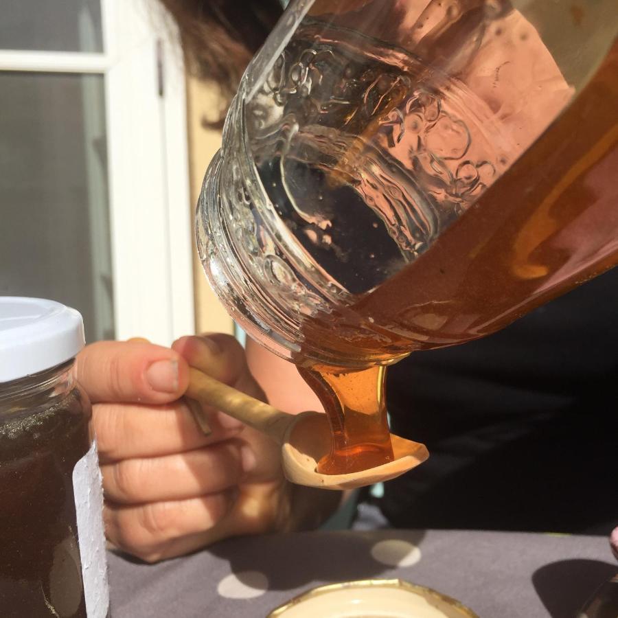 Saint-Cézaire-sur-Siagne Domaine Des Tilleuls D'Or מראה חיצוני תמונה