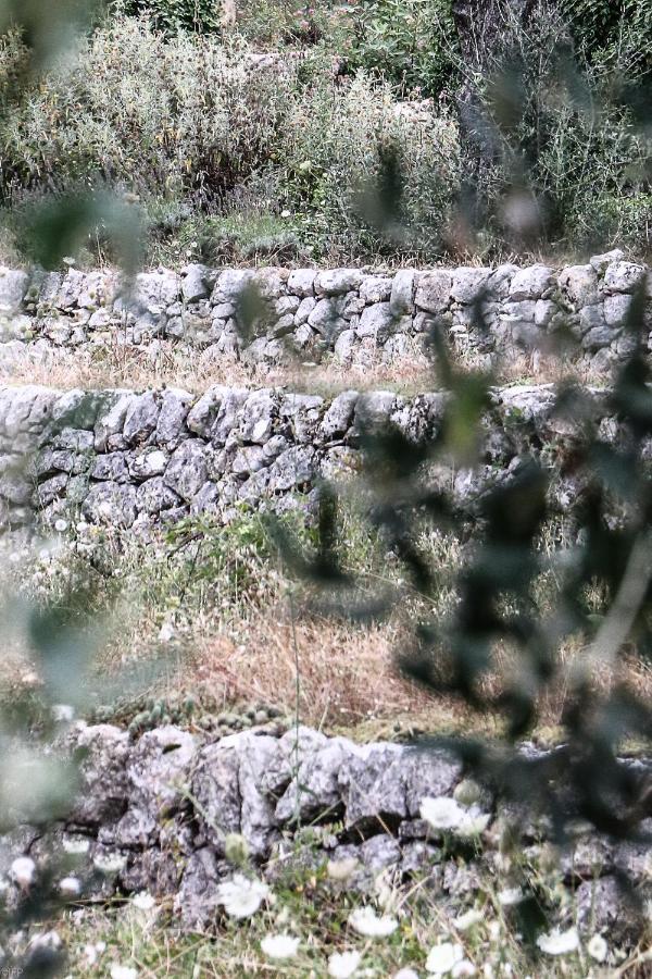 Saint-Cézaire-sur-Siagne Domaine Des Tilleuls D'Or מראה חיצוני תמונה