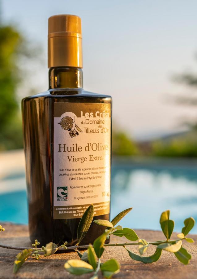 Saint-Cézaire-sur-Siagne Domaine Des Tilleuls D'Or מראה חיצוני תמונה