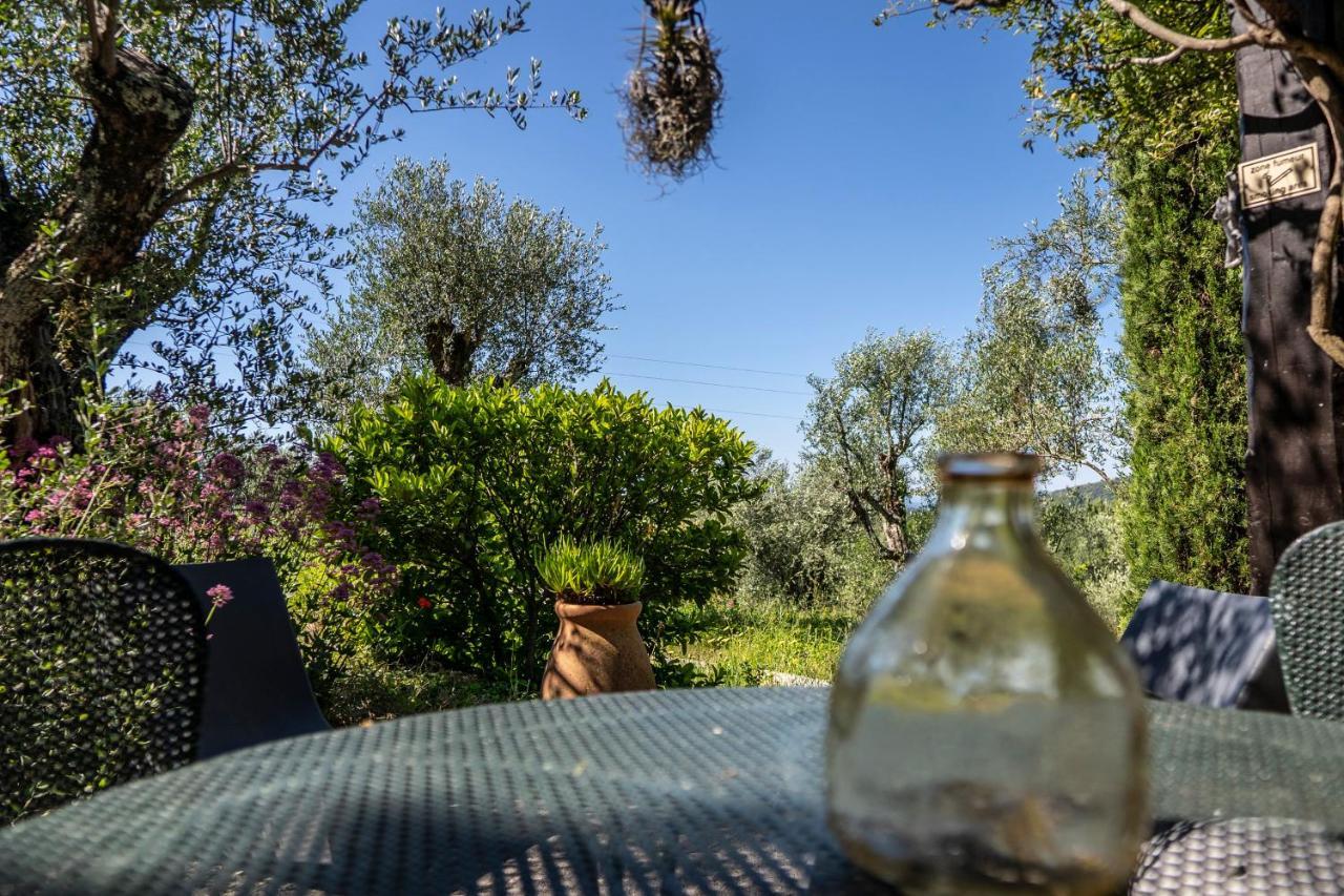 Saint-Cézaire-sur-Siagne Domaine Des Tilleuls D'Or חדר תמונה